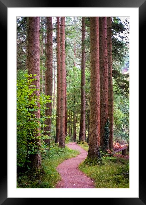 Woodland Trail Framed Mounted Print by Ellie Rose