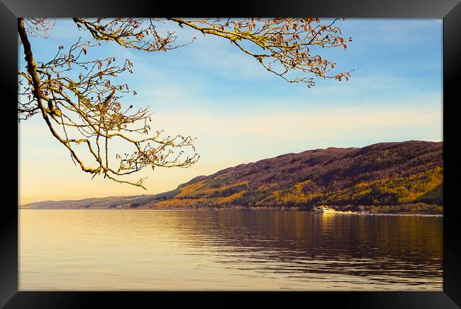 The Search for Nessie Framed Print by Ellie Rose