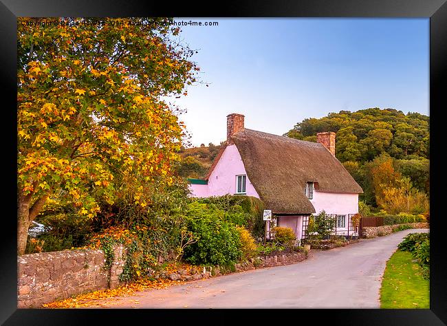  Rose Cottage, Dunster Framed Print by Dave Rowlatt