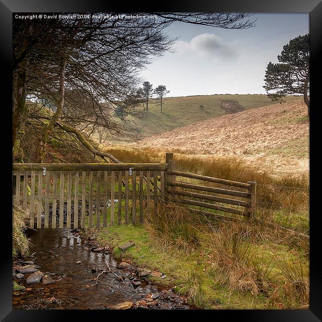 Free to Wander Framed Print by Dave Rowlatt