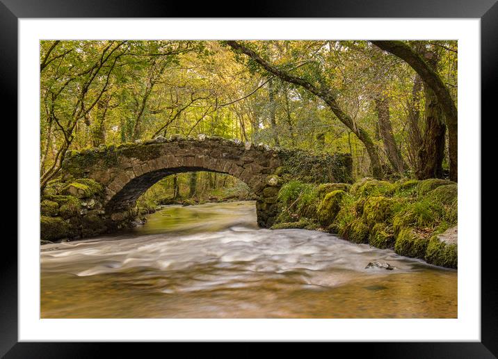 Hisley Bridge Framed Mounted Print by Dave Rowlatt