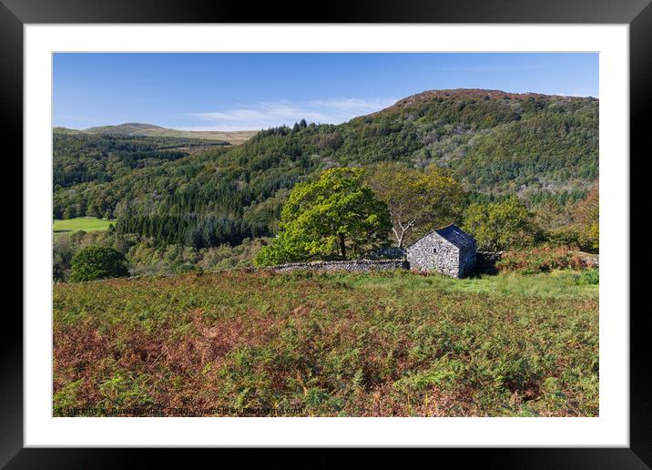 Dutton Valley in the Lake District Framed Mounted Print by Dave Rowlatt
