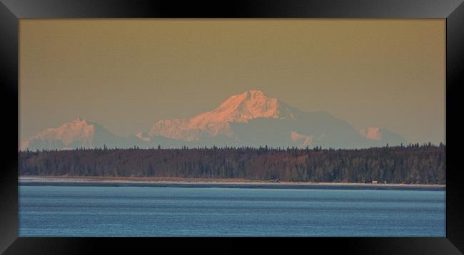 Mt. McKinley, Alaska Framed Print by Erin Hayes