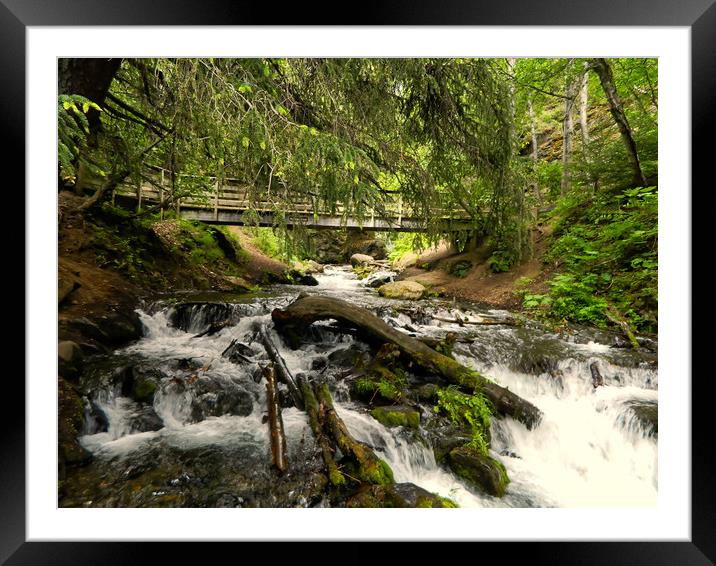 McHugh Creek Bridge, Alaska Framed Mounted Print by Erin Hayes