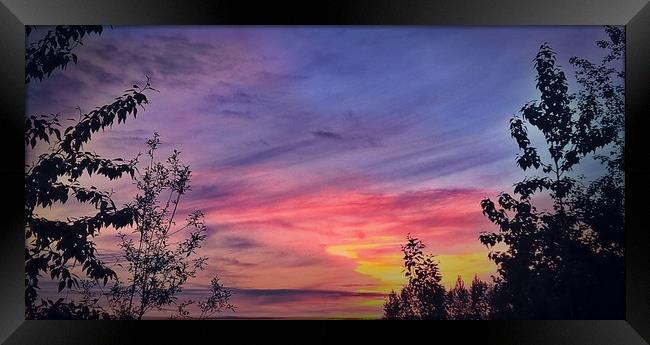 Red's Sunset, Alaska Framed Print by Erin Hayes