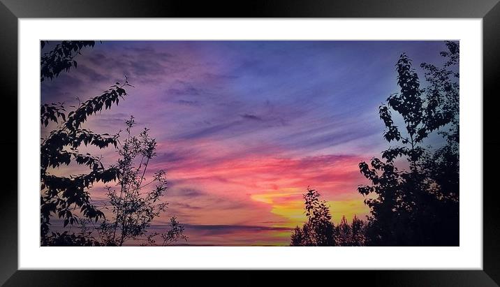 Red's Sunset, Alaska Framed Mounted Print by Erin Hayes