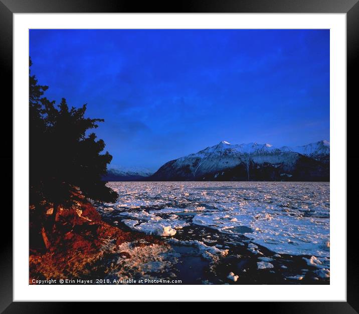 Iconic Alaska Framed Mounted Print by Erin Hayes