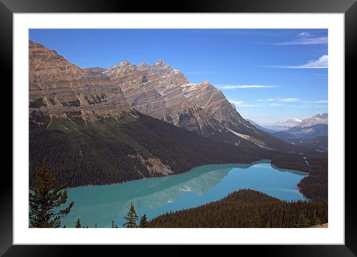  Peyto Lake Framed Mounted Print by Peter Ready