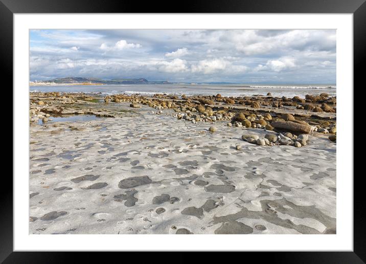 Ammonites' Graveyard Framed Mounted Print by Mark Godden