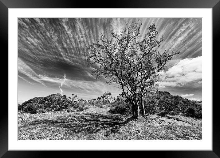  Dartmoor Tree Framed Mounted Print by Mark Godden