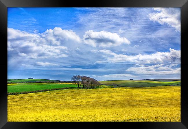  Summer Fields Framed Print by Mark Godden