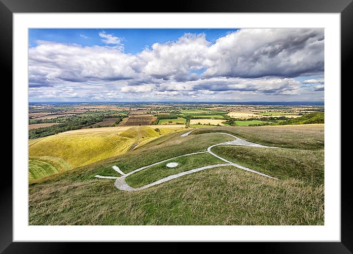  White Horse Framed Mounted Print by Mark Godden