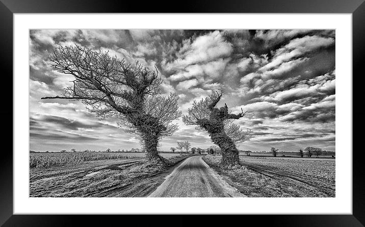  Windswept trees in a flat Norfolk Landscape. Framed Mounted Print by Mark Godden