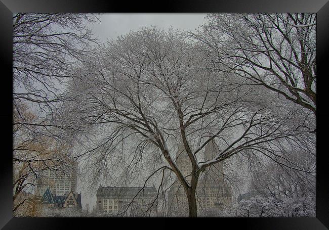  Winter in NYC. Framed Print by Mark Godden