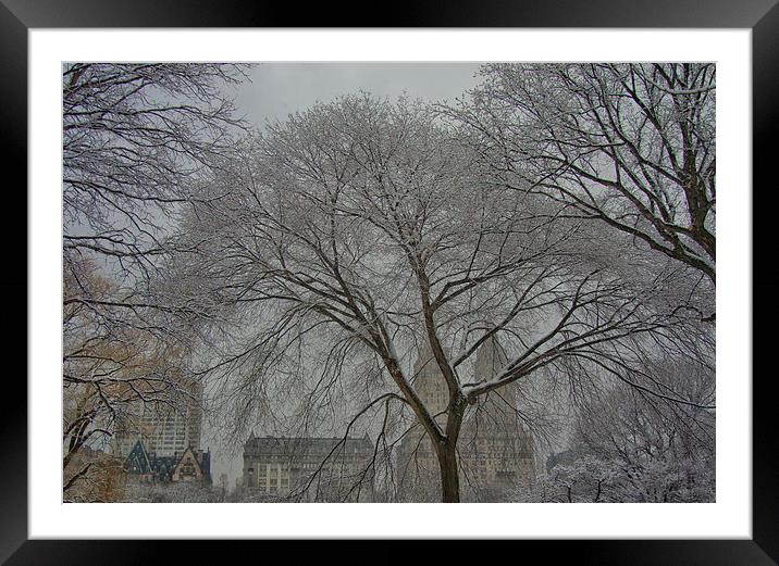  Winter in NYC. Framed Mounted Print by Mark Godden