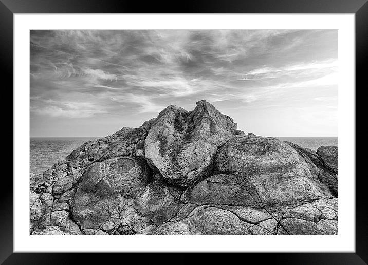 Fossil Forest in mono.  Framed Mounted Print by Mark Godden