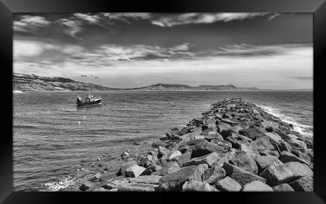 A rock-armour breakwater at Lyme Regis on Dorset's Framed Print by Mark Godden