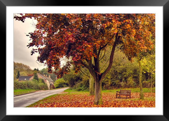 Beautiful autumn morning Framed Mounted Print by scott innes