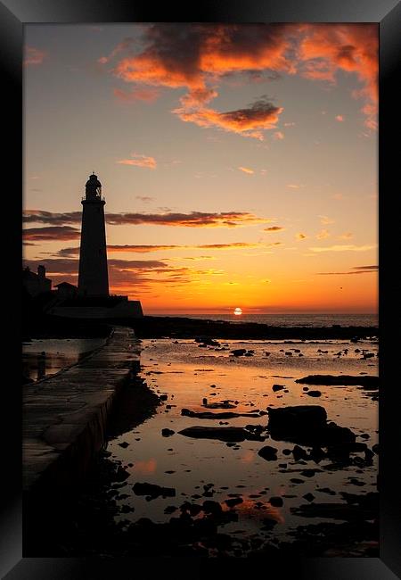  St. Mary's Lighthouse Sunrise Framed Print by Alex Murray