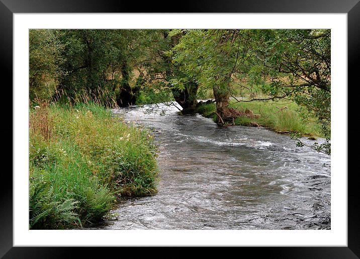 River through the trees Framed Mounted Print by Alan Waters