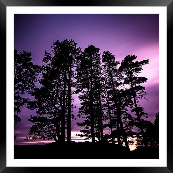  Towering Silhouettes Framed Mounted Print by Ray Abrahams