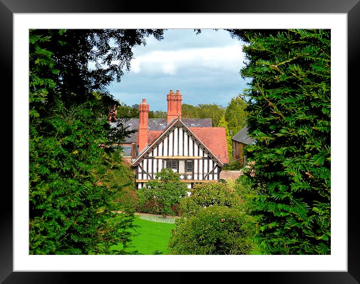  Peeping through the hedge! Framed Mounted Print by Judith Lightfoot