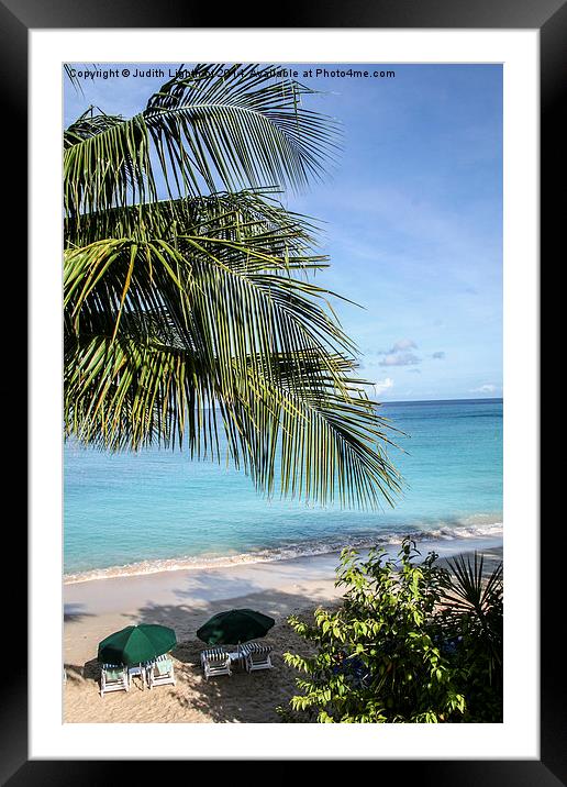  The Tranquil Beach Barbados Framed Mounted Print by Judith Lightfoot