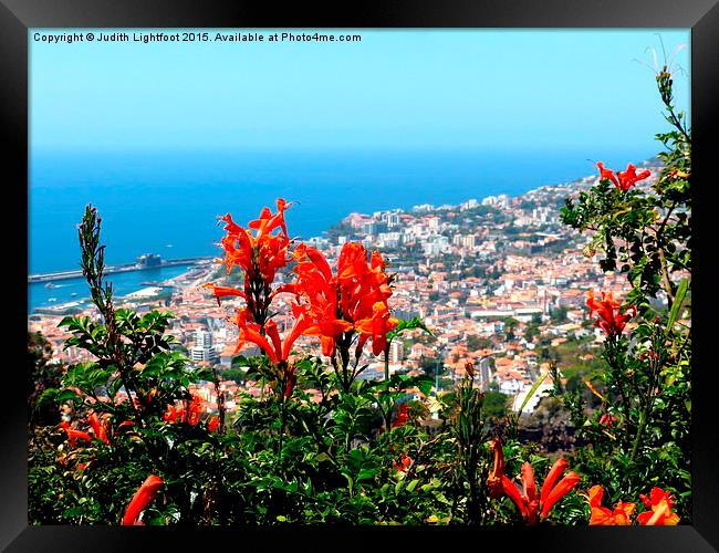 The Island of Flowers Madeira Framed Print by Judith Lightfoot