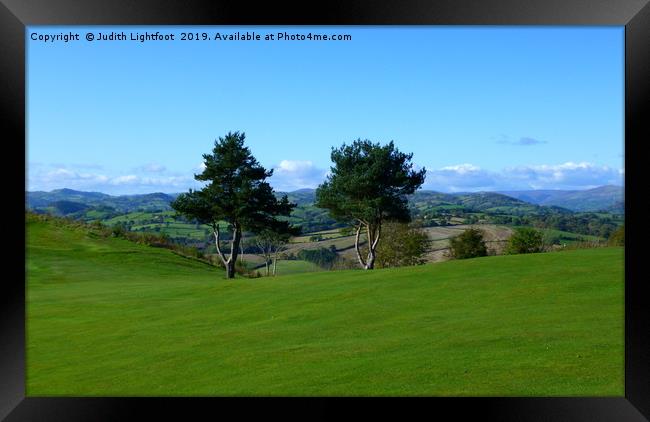 TREE-MENDOUS VIEW FOR A GAME OF GOLF Framed Print by Judith Lightfoot