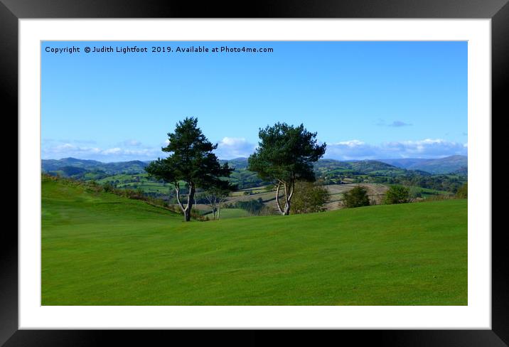 TREE-MENDOUS VIEW FOR A GAME OF GOLF Framed Mounted Print by Judith Lightfoot
