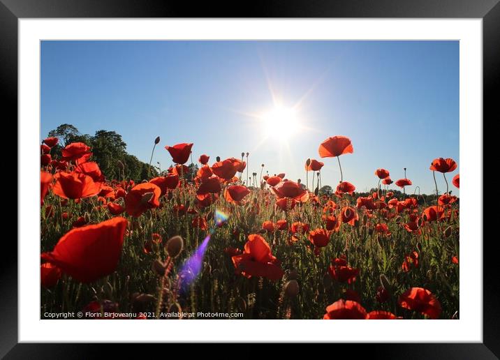 OVERALL RED Framed Mounted Print by Florin Birjoveanu