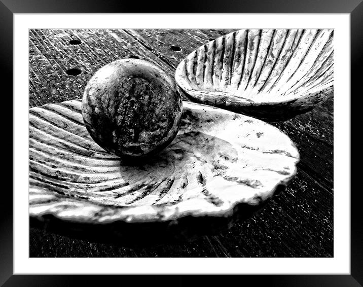 Shell and Pearl Framed Mounted Print by Florin Birjoveanu