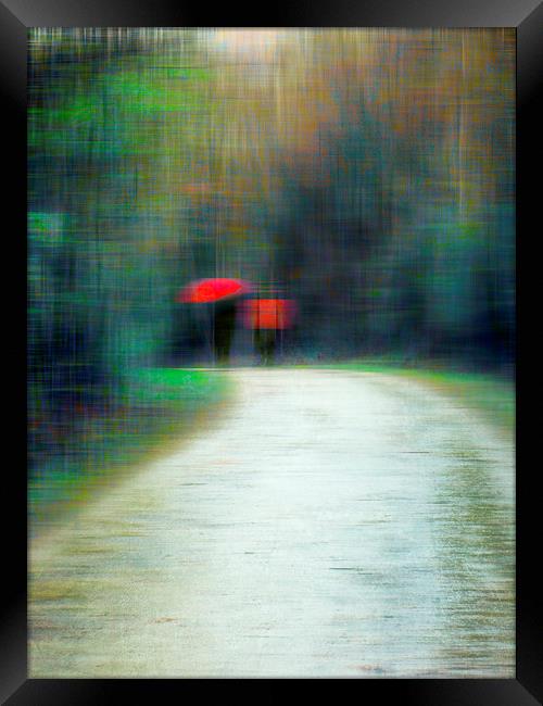  Walk In The Rain  Framed Print by Florin Birjoveanu