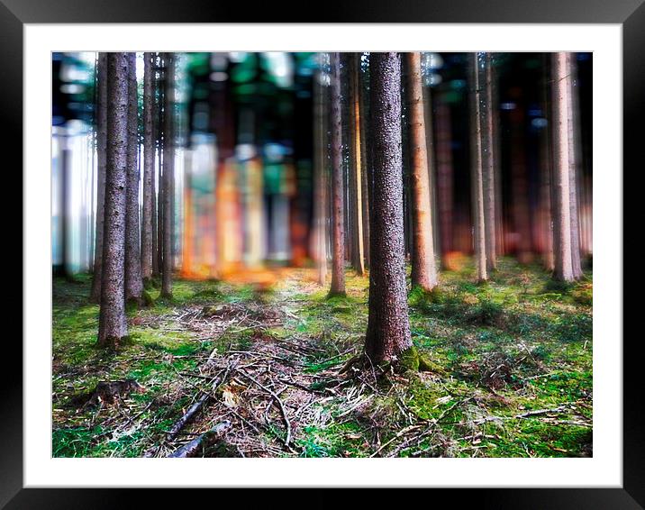  Lost In The Forest Framed Mounted Print by Florin Birjoveanu