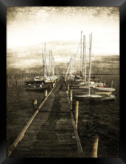  Overlooking The Yacht Dock Gray Framed Print by Florin Birjoveanu