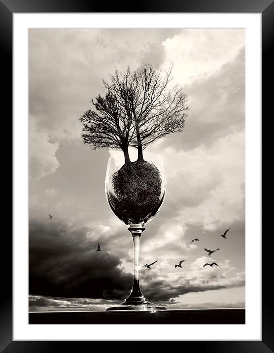 Glass Of Tree B&W Framed Mounted Print by Florin Birjoveanu