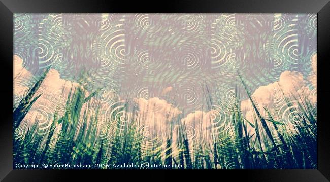 Clouds Grasses Framed Print by Florin Birjoveanu