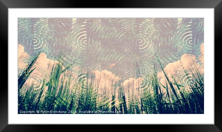 Clouds Grasses Framed Mounted Print by Florin Birjoveanu