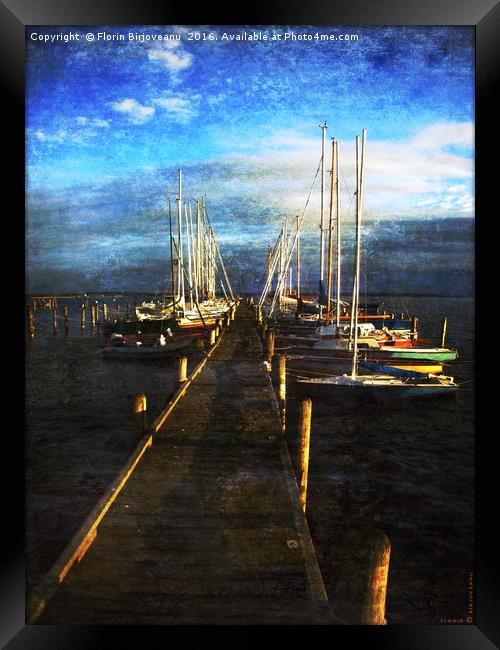 Overlooking The Yacht Dock Framed Print by Florin Birjoveanu