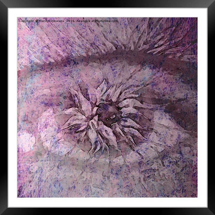 The Eye of Apollo Purple Framed Mounted Print by Florin Birjoveanu