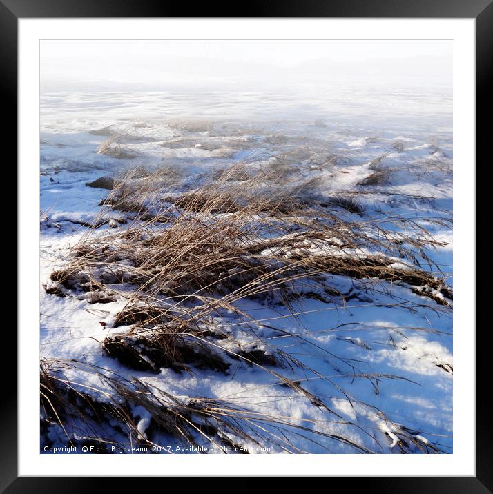 New Snow Framed Mounted Print by Florin Birjoveanu