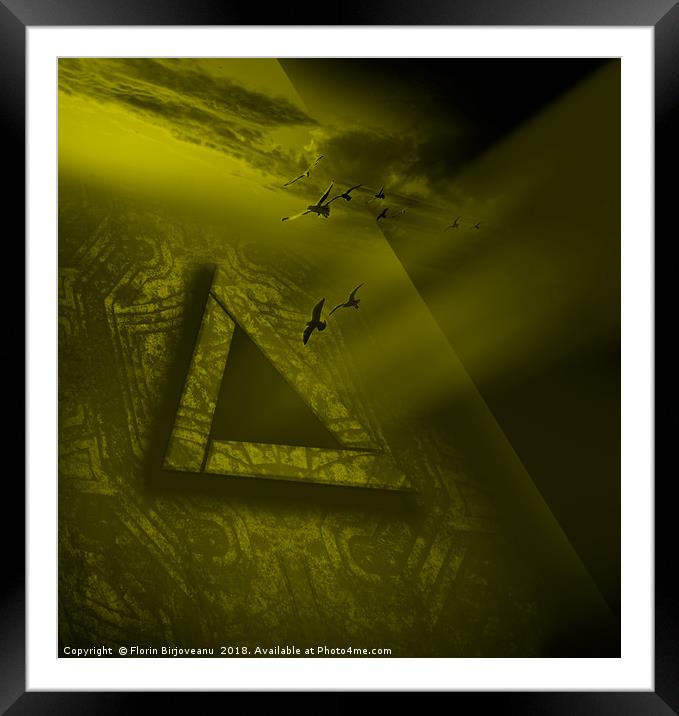Triangular Yellow Framed Mounted Print by Florin Birjoveanu
