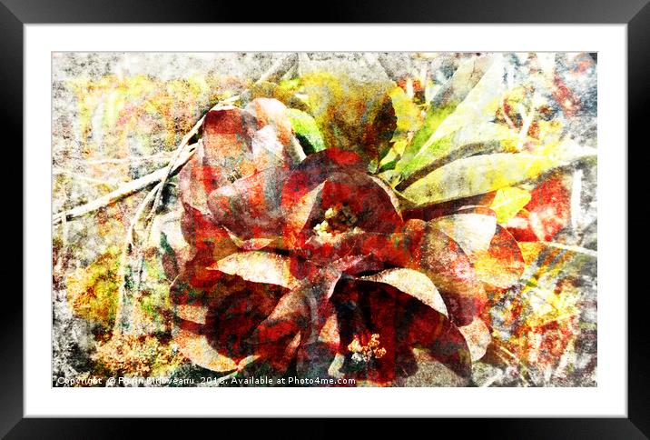 Swayed Blossom Textured 2009 Framed Mounted Print by Florin Birjoveanu