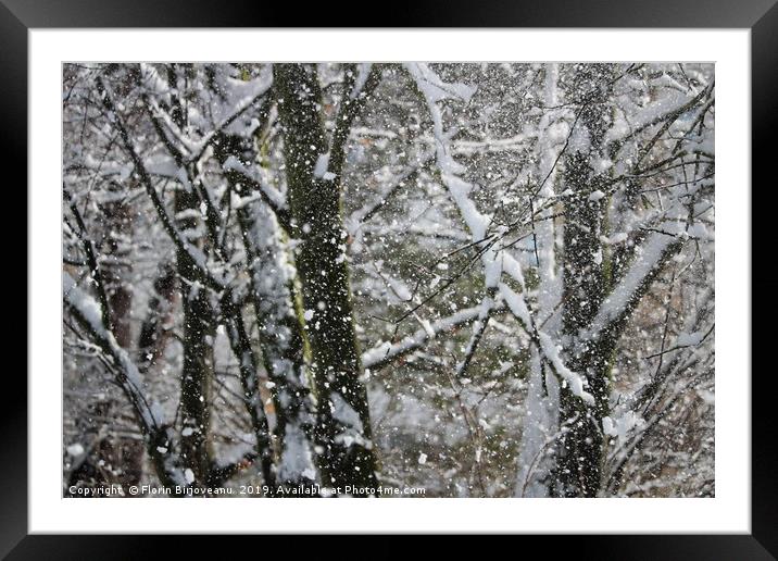 Snowy Trees  Framed Mounted Print by Florin Birjoveanu
