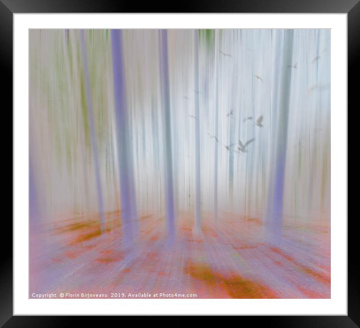 Moving Forest Light Framed Mounted Print by Florin Birjoveanu