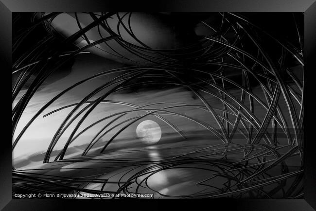 Full Moon Bw Framed Print by Florin Birjoveanu