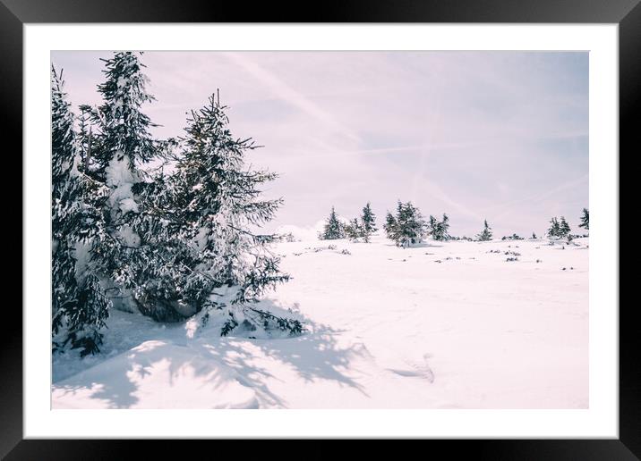 Winter Trees Landscape Framed Mounted Print by Patrycja Polechonska