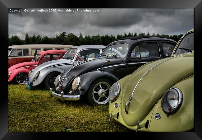  VW Beetles Framed Print by shawn bullock