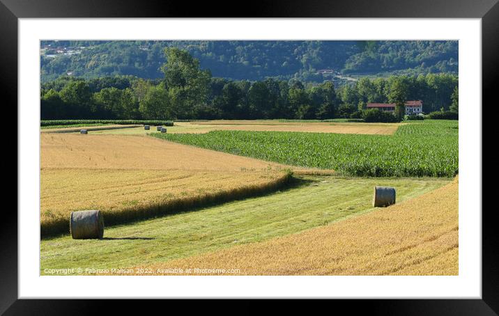 Italian Countryside Agriculture Framed Mounted Print by Fabrizio Malisan