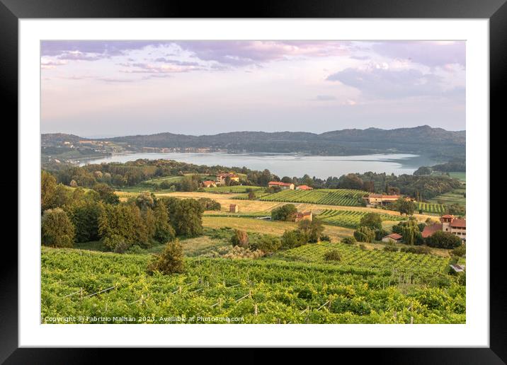 Landscape Lake n Vineyards in Piemonte Italy Framed Mounted Print by Fabrizio Malisan